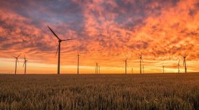 Energie éolienne : du renouvelable qui fait débat