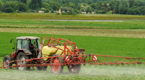 Que penser de l’annonce de l’interdiction  du pesticide S-métolachlore ?