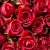 Les roses rouges de la Saint Valentin…