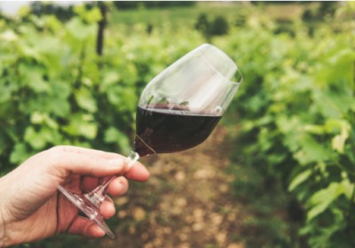 Du TFA, un polluant éternel, dans des vins européens