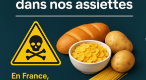 Cadmium : un poison discret dans nos assiettes