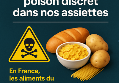 Cadmium : un poison discret dans nos assiettes